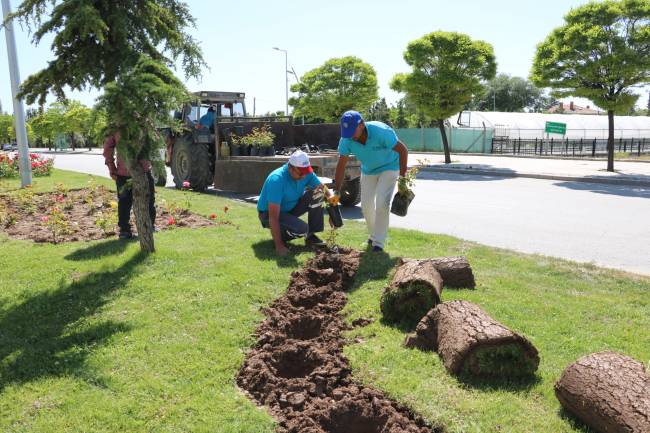 Beyşehir’de Her yer Rengârenk