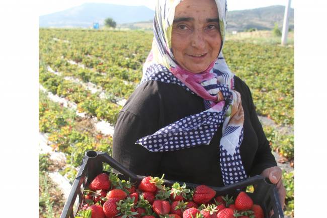 Hüyük’ün lezzeti tescil yolunda