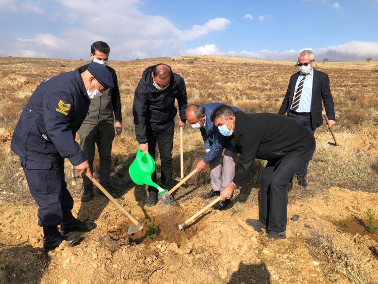 Hüyük’te “Geleceğe Nefes” için fidan dikimi yapıldı